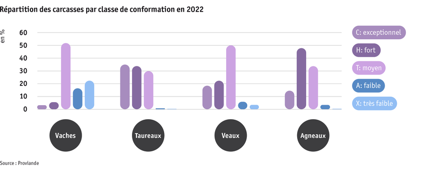 Zoom: ab23_datentabelle_grafik_politik_prod_viehwirtschaft_fleischigkeitsklasse_f.png