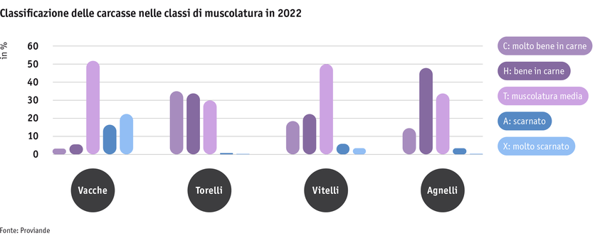 Zoom: ab23_datentabelle_grafik_politik_prod_viehwirtschaft_fleischigkeitsklasse_i.png